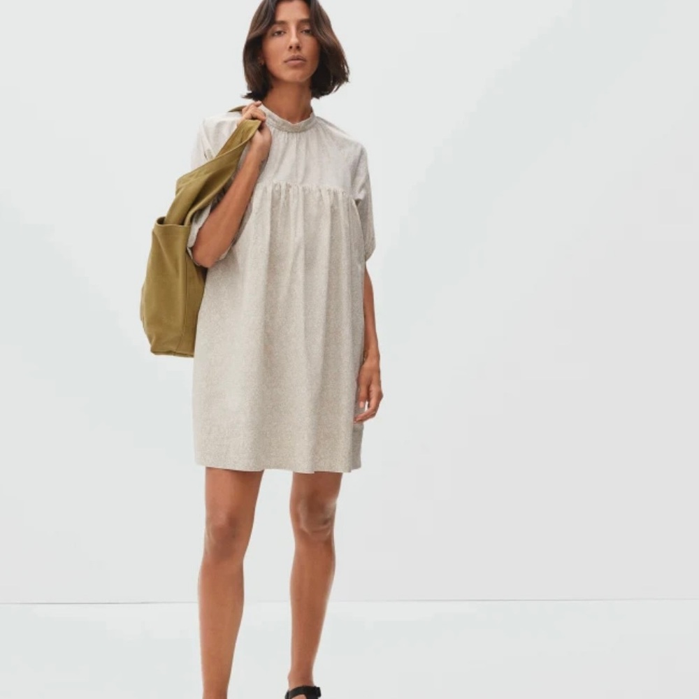 Everlane dress